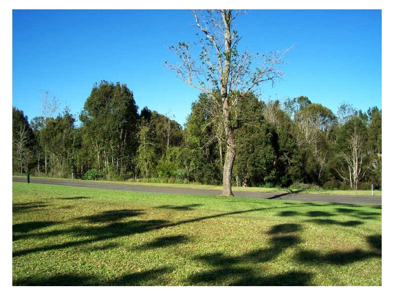 22 Pound Street, Malanda QLD 4885
