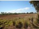 Walkamin QLD 4872