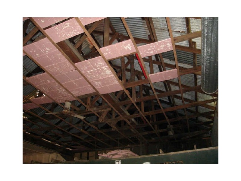 Millaa Millaa QLD 4886