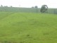 Millaa Millaa QLD 4886