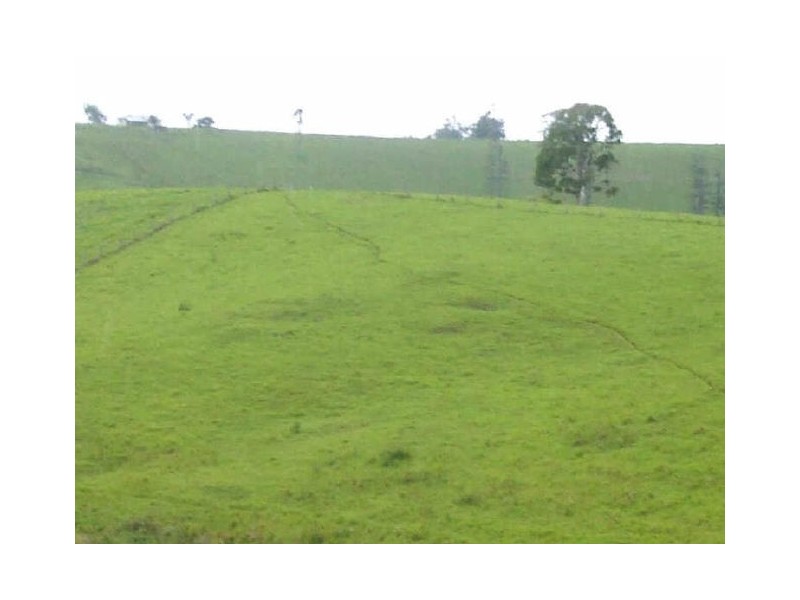 Millaa Millaa QLD 4886