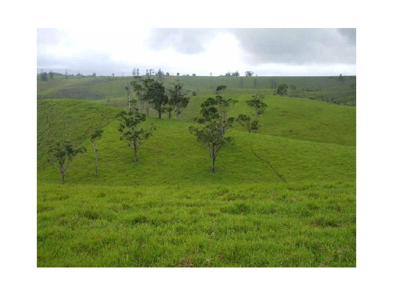 Millaa Millaa QLD 4886