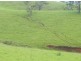 Millaa Millaa QLD 4886
