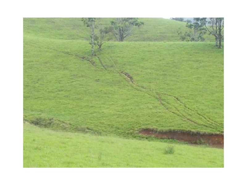 Millaa Millaa QLD 4886