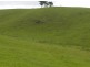 Millaa Millaa QLD 4886