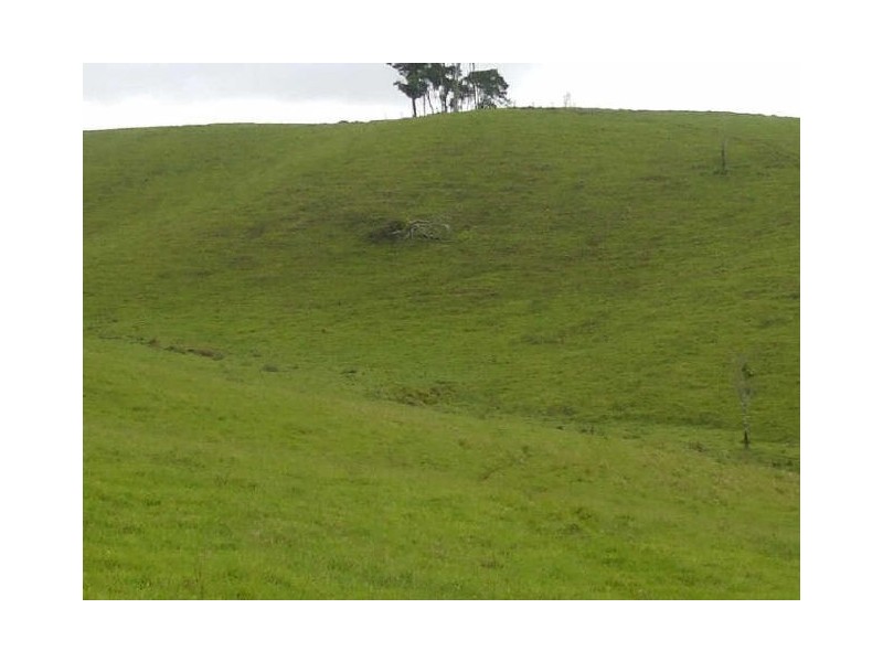 Millaa Millaa QLD 4886