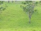 Millaa Millaa QLD 4886