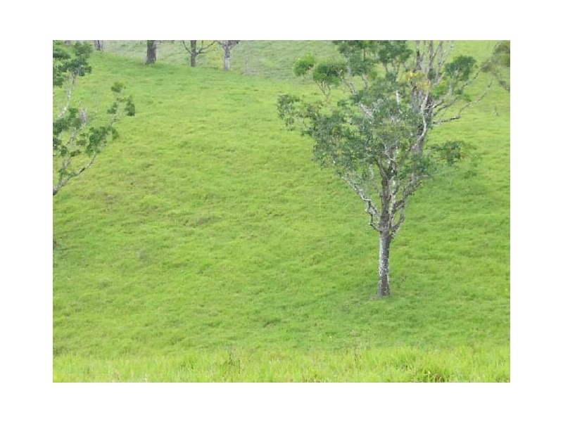 Millaa Millaa QLD 4886