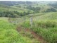 Millaa Millaa QLD 4886