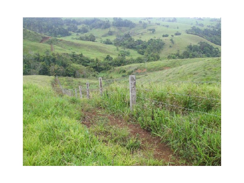 Millaa Millaa QLD 4886
