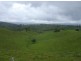 Millaa Millaa QLD 4886