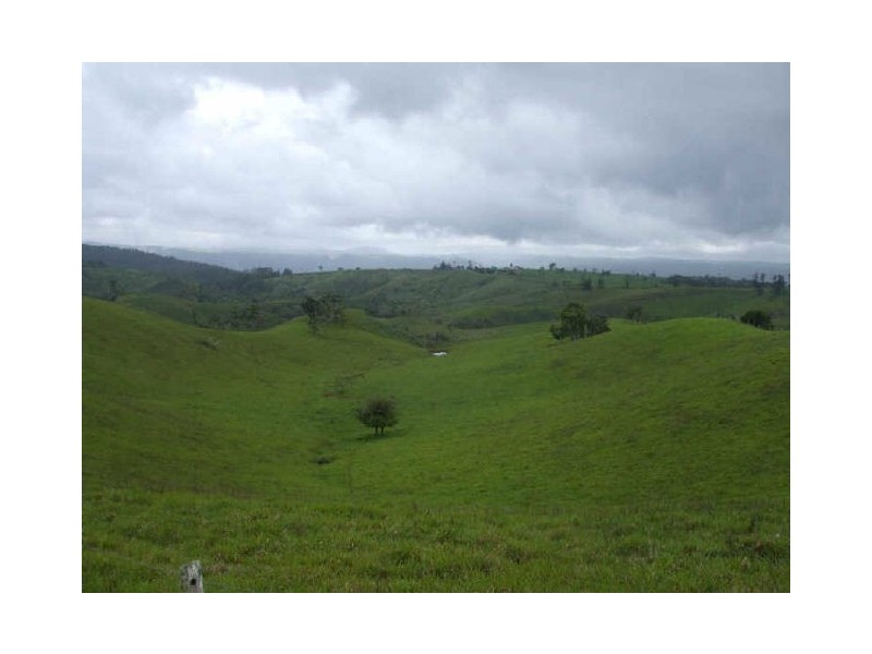 Millaa Millaa QLD 4886