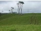 Millaa Millaa QLD 4886