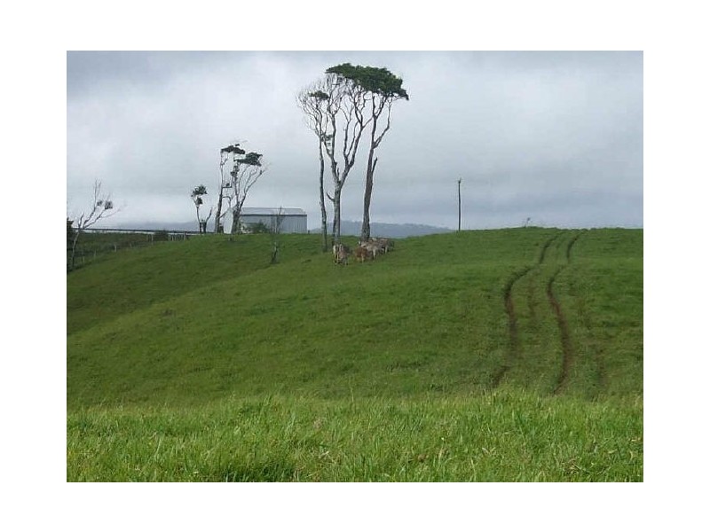 Millaa Millaa QLD 4886