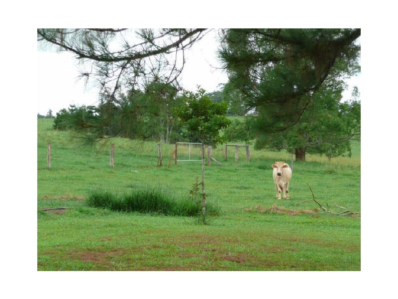 Upper Barron QLD 4883