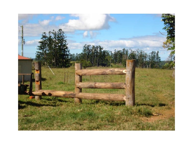 Millaa Millaa QLD 4886