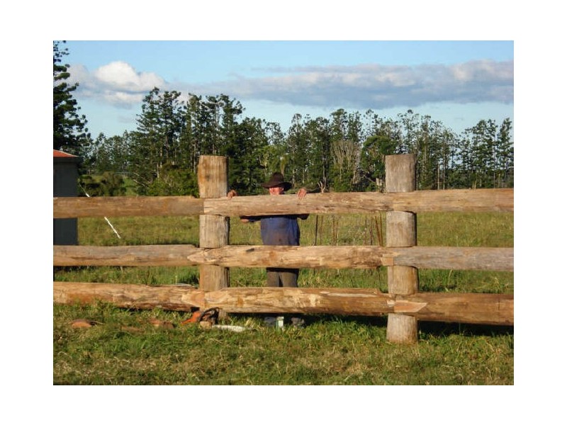 Millaa Millaa QLD 4886