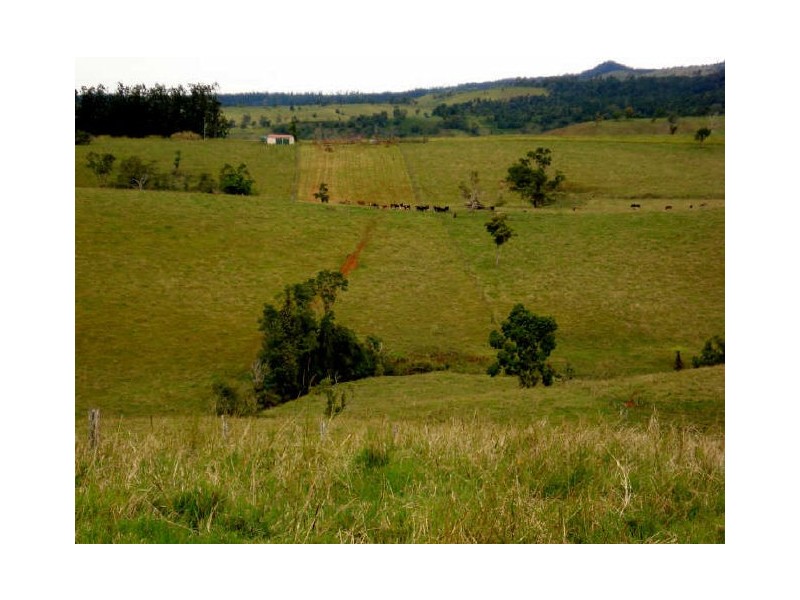 Millaa Millaa QLD 4886