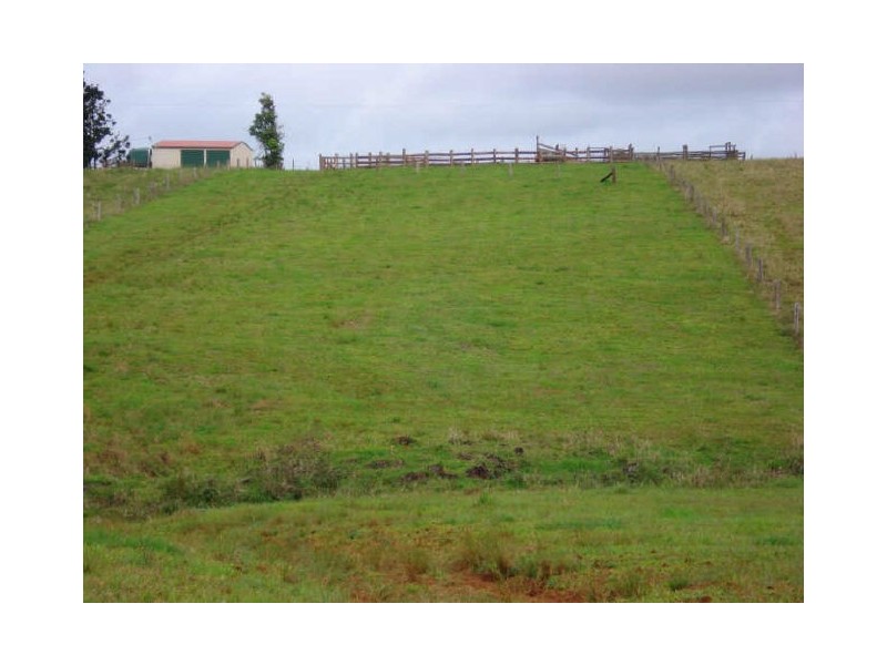 Millaa Millaa QLD 4886