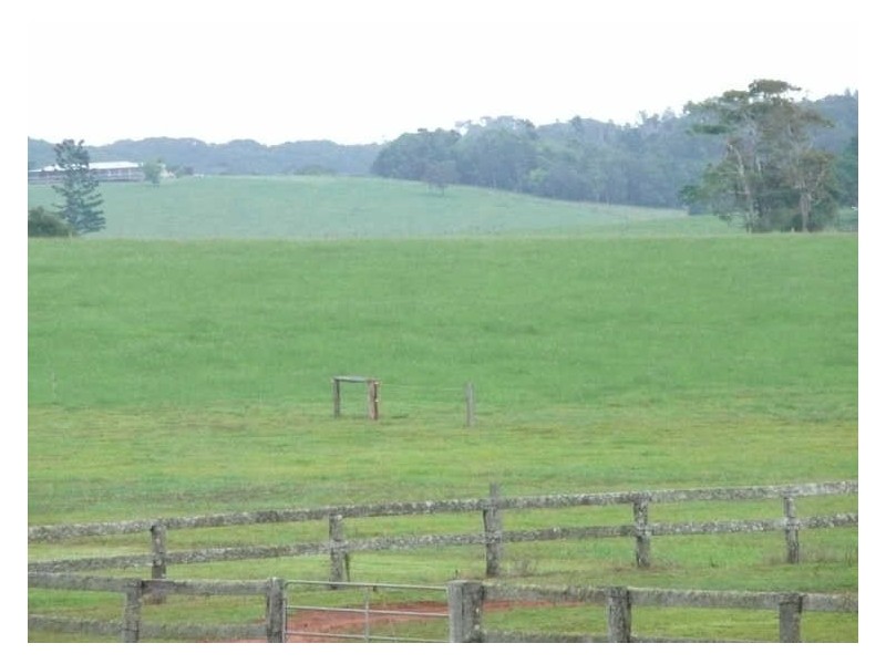 65 Moore Rd, Lake Eacham QLD 4884