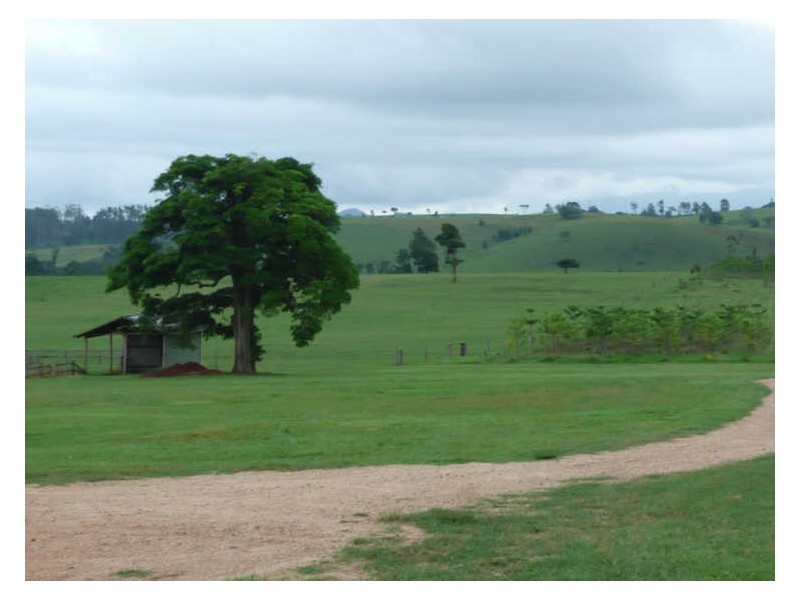 65 Moore Rd, Lake Eacham QLD 4884