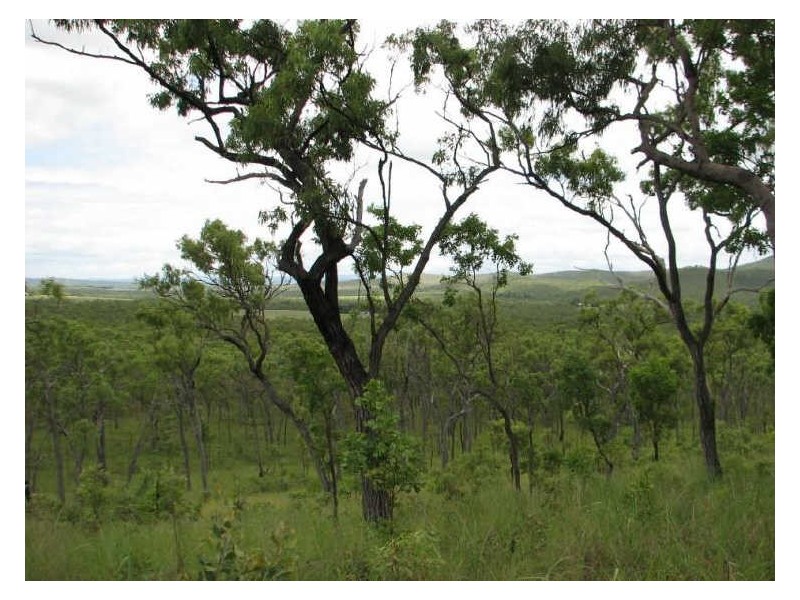 Dimbulah QLD 4872