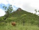 Dimbulah QLD 4872
