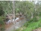 Dimbulah QLD 4872