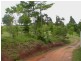Tarzali QLD 4885