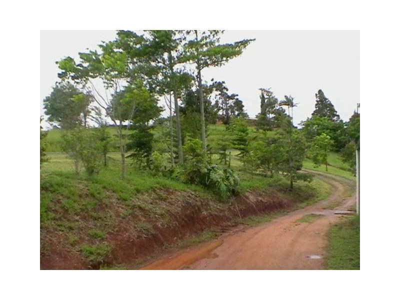 Tarzali QLD 4885