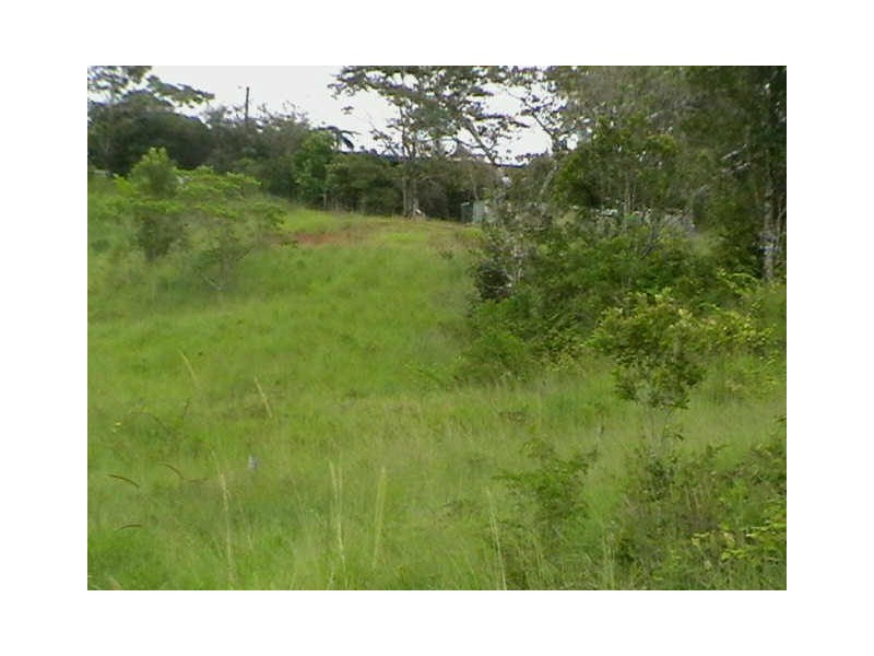 Tarzali QLD 4885