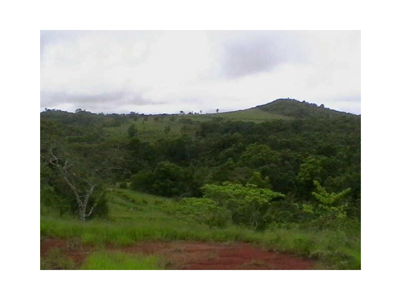 Tarzali QLD 4885