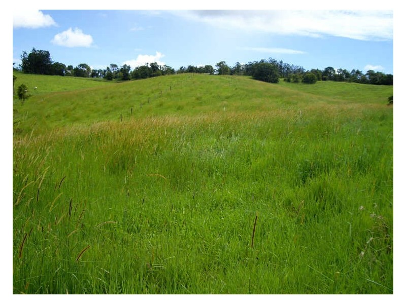 Atherton QLD 4883