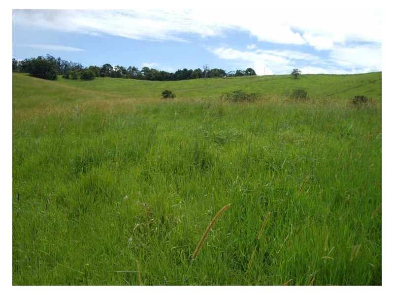 Atherton QLD 4883