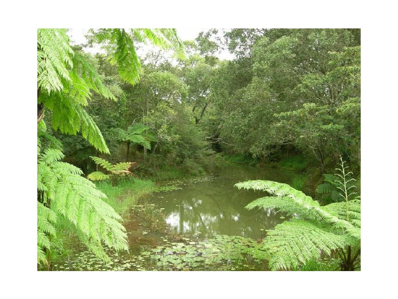 Lake Eacham QLD 4884