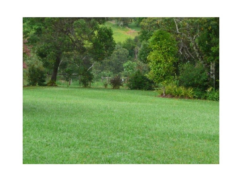 Lake Eacham QLD 4884