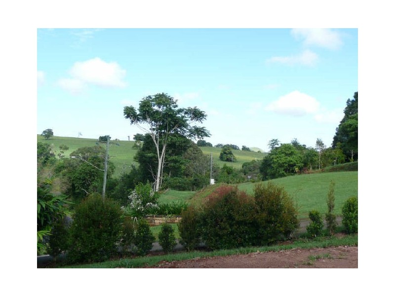 Yungaburra QLD 4884