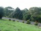 Yungaburra QLD 4884