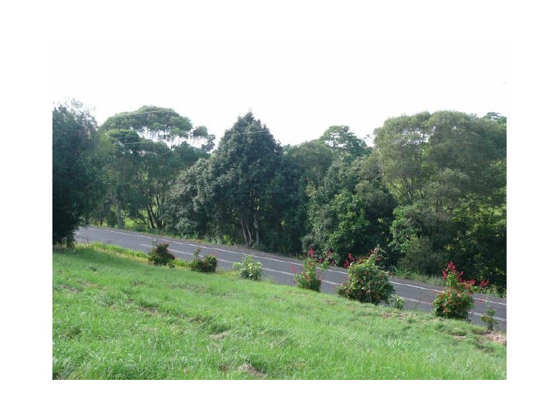 Yungaburra QLD 4884