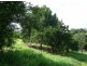 Yungaburra QLD 4884