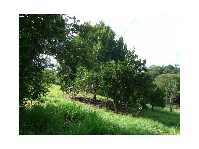 Yungaburra QLD 4884
