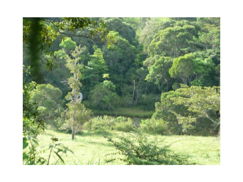Lake Eacham QLD 4884