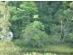 Lake Eacham QLD 4884