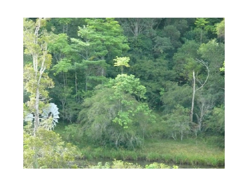 Lake Eacham QLD 4884
