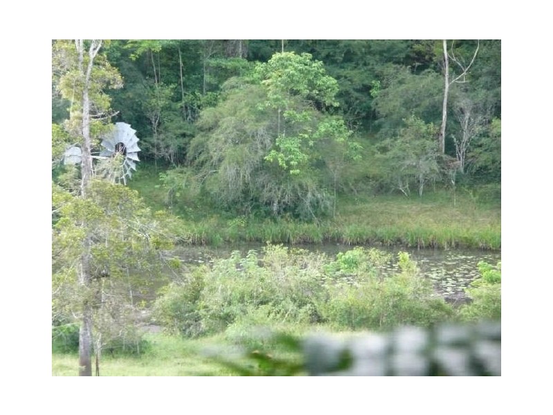 Lake Eacham QLD 4884