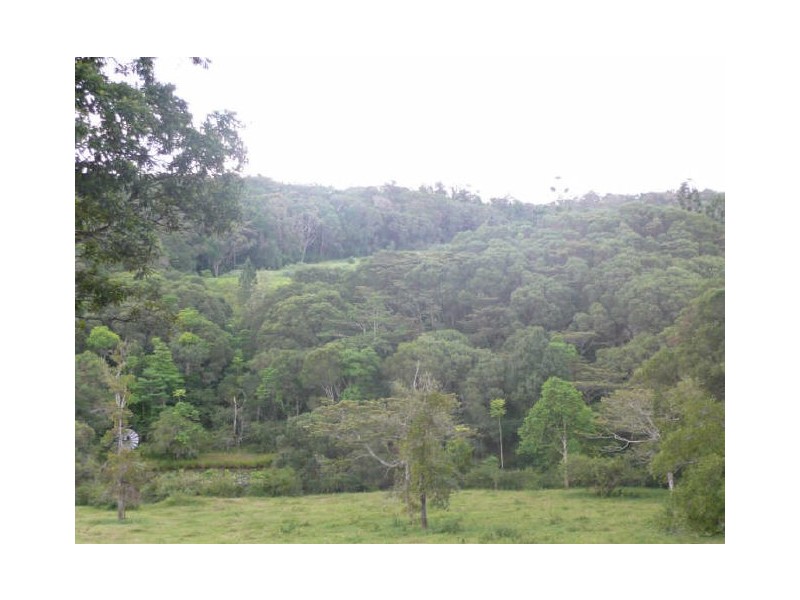 Lake Eacham QLD 4884