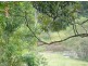 Lake Eacham QLD 4884