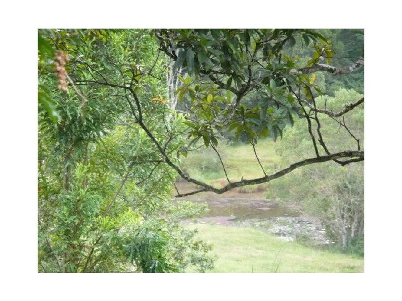 Lake Eacham QLD 4884