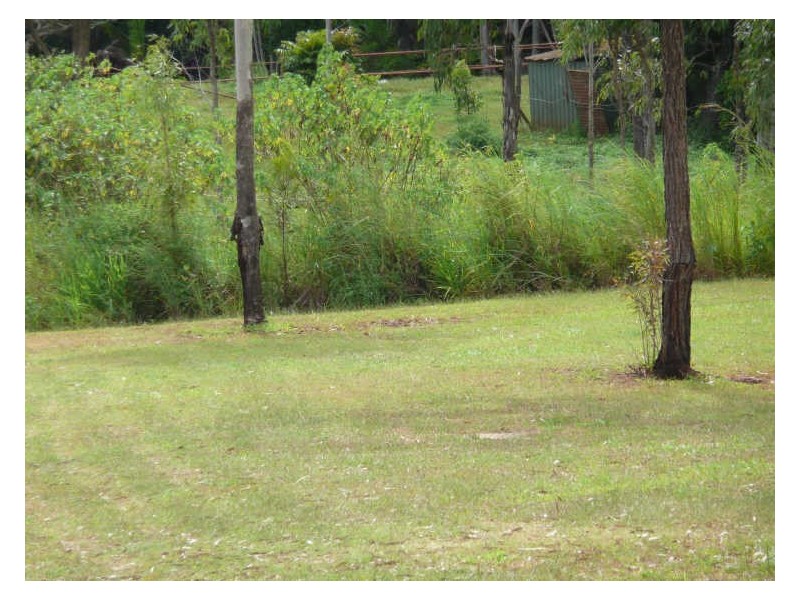 Tolga QLD 4882