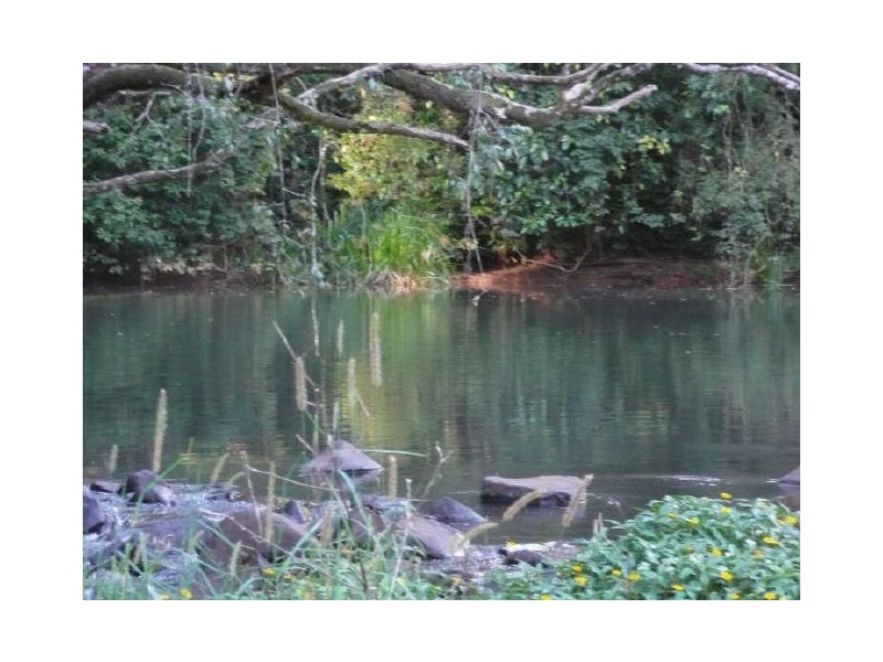 Lake Eacham QLD 4884